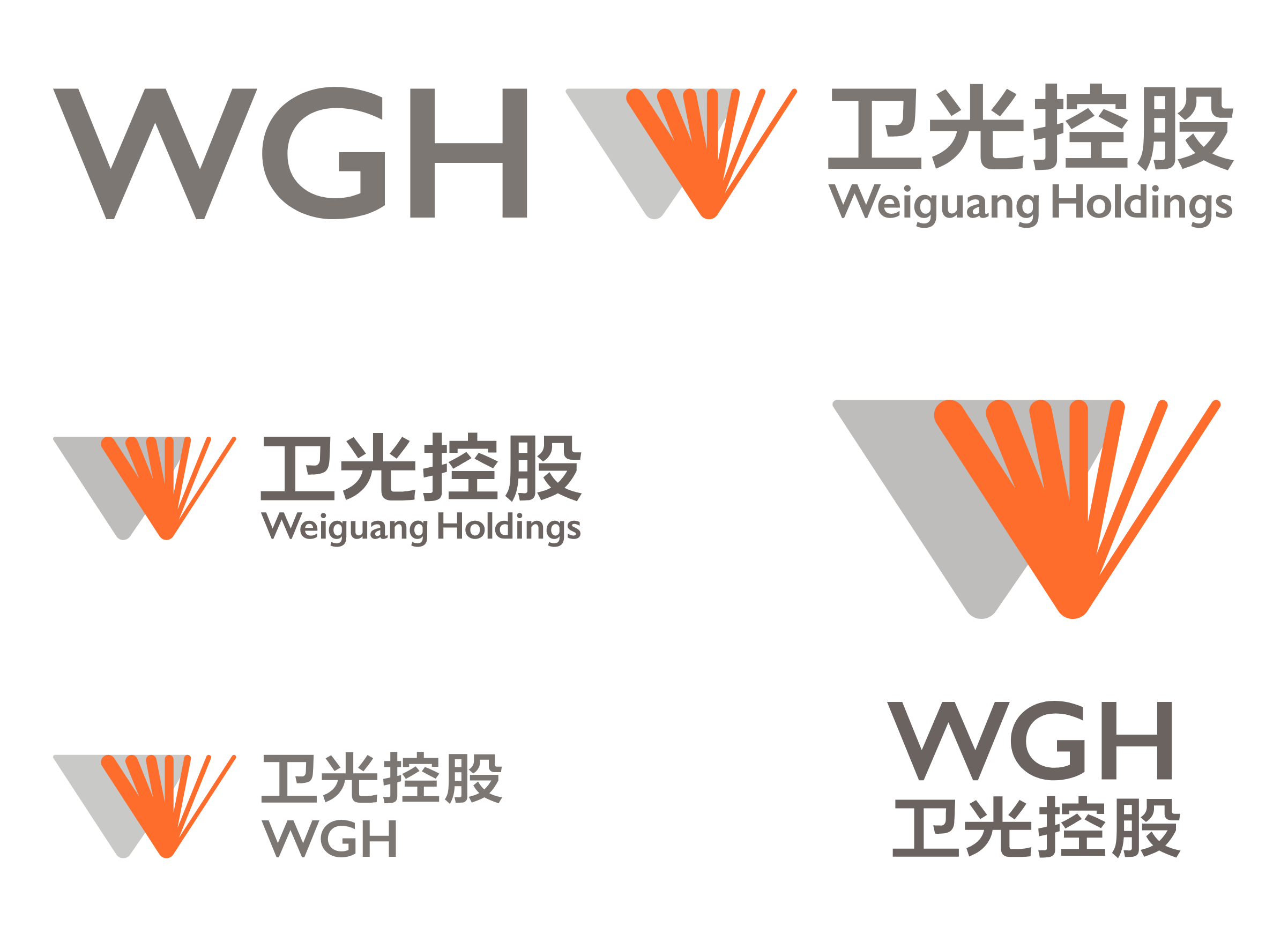 卫光控股组合系统